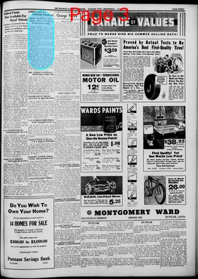 Page thumbnail for Windham County Observer