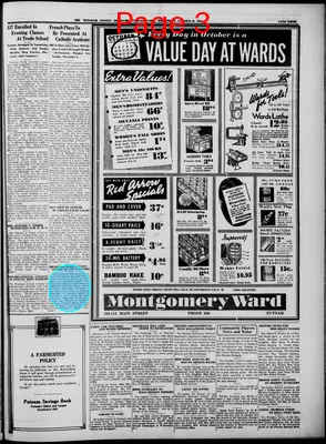Page thumbnail for Windham County Observer