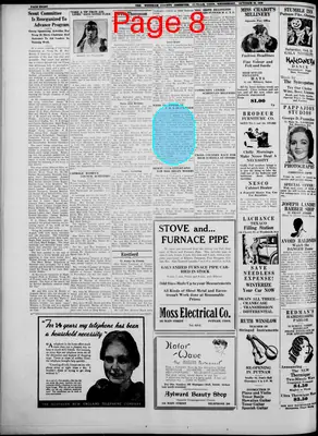 Page thumbnail for Windham County Observer