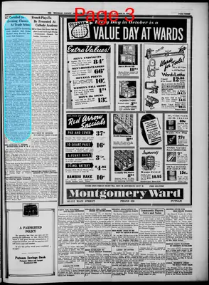 Page thumbnail for Windham County Observer