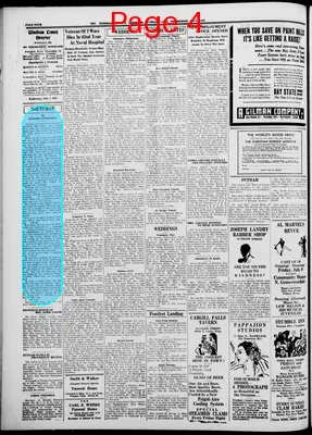 Page thumbnail for Windham County Observer