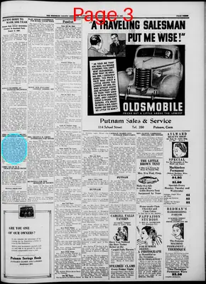 Page thumbnail for Windham County Observer