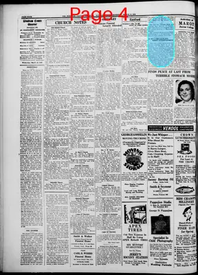 Page thumbnail for Windham County Observer