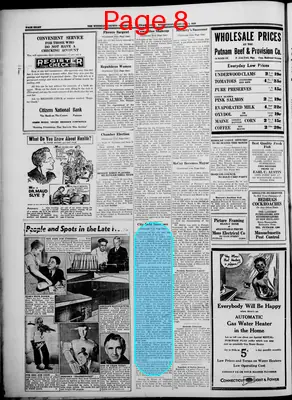 Page thumbnail for Windham County Observer