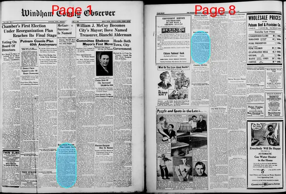 Page thumbnail for Windham County Observer