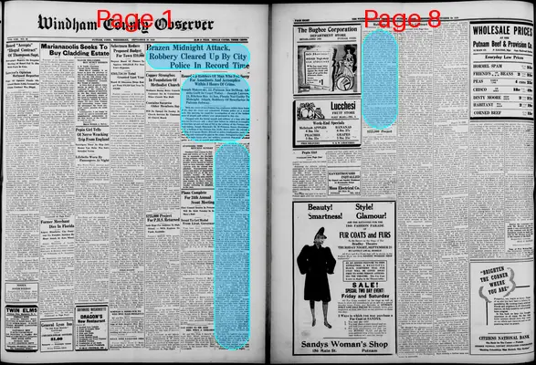 Page thumbnail for Windham County Observer