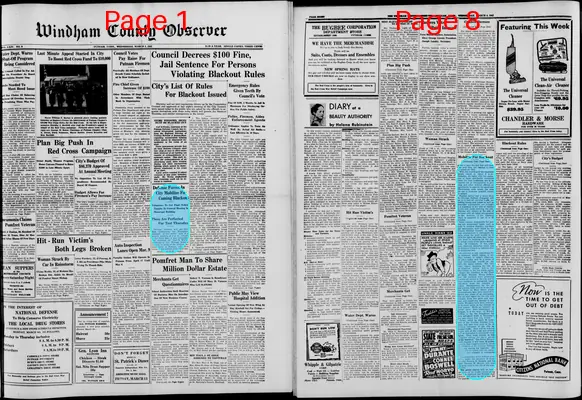 Page thumbnail for Windham County Observer