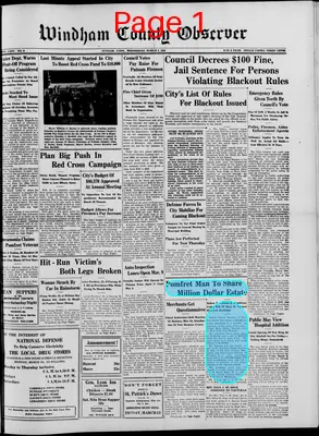 Page thumbnail for Windham County Observer