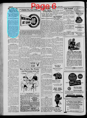 Page thumbnail for Windham County Observer