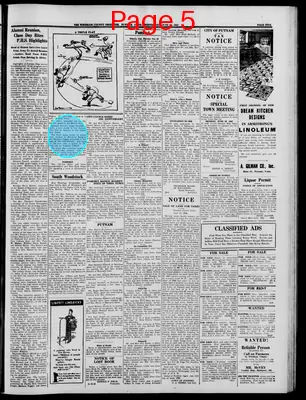 Page thumbnail for Windham County Observer