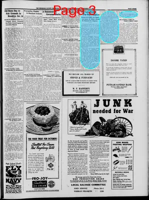 Page thumbnail for Windham County Observer