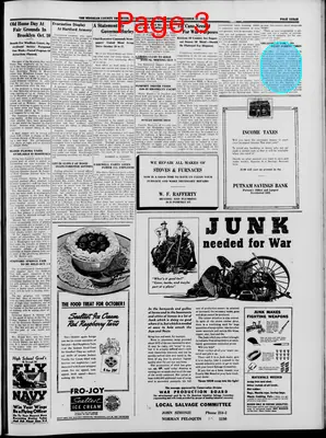 Page thumbnail for Windham County Observer