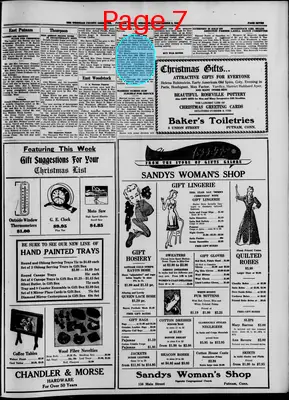 Page thumbnail for Windham County Observer