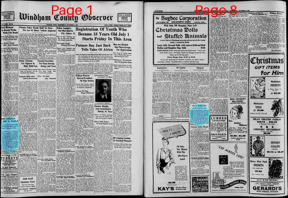 Page thumbnail for Windham County Observer