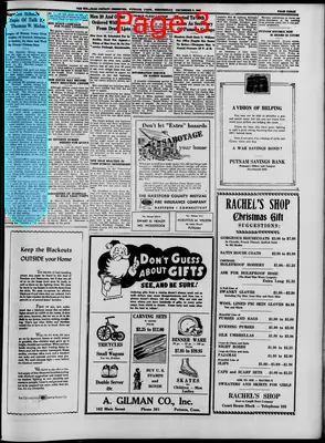 Page thumbnail for Windham County Observer