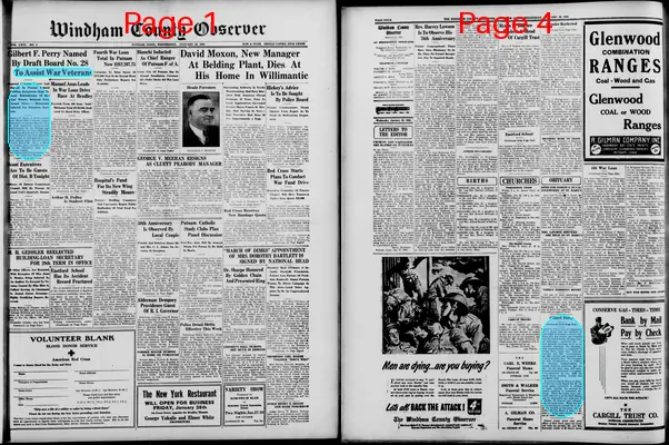 Page thumbnail for Windham County Observer