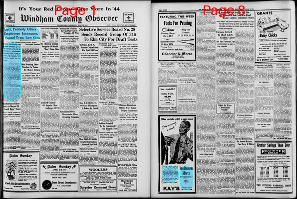 Page thumbnail for Windham County Observer