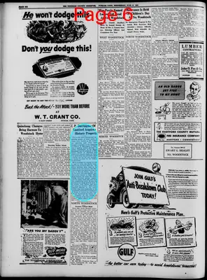 Page thumbnail for Windham County Observer