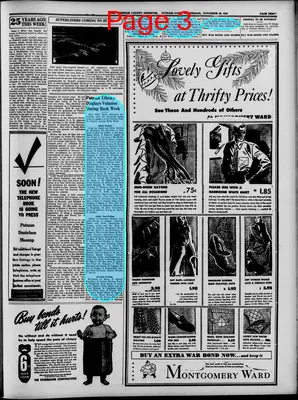 Page thumbnail for Windham County Observer
