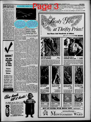 Page thumbnail for Windham County Observer