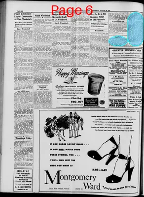 Page thumbnail for Windham County Observer