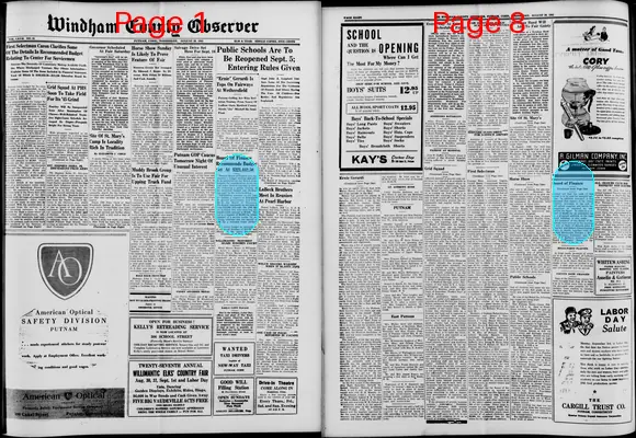 Page thumbnail for Windham County Observer
