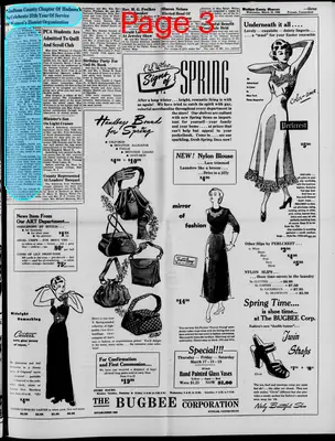 Page thumbnail for Windham County Observer