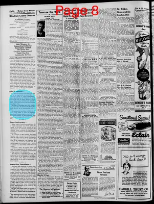Page thumbnail for Windham County Observer