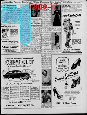Page thumbnail for Windham County Observer