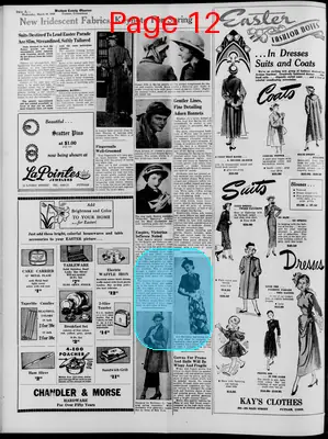 Page thumbnail for Windham County Observer
