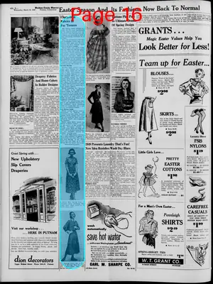 Page thumbnail for Windham County Observer