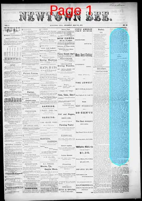 Page thumbnail for The Newtown Bee