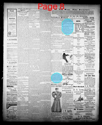 Page thumbnail for The Newtown Bee