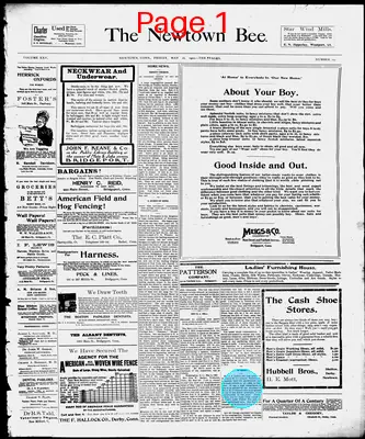 Page thumbnail for The Newtown Bee