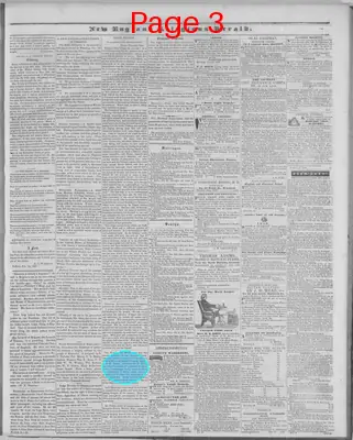 Page thumbnail for New England Religious Herald