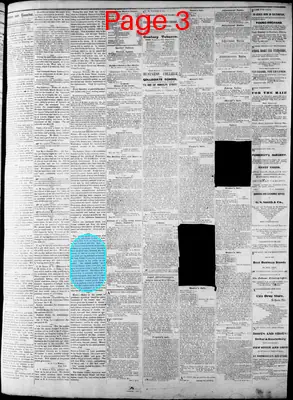 Page thumbnail for The Du Quoin Tribune