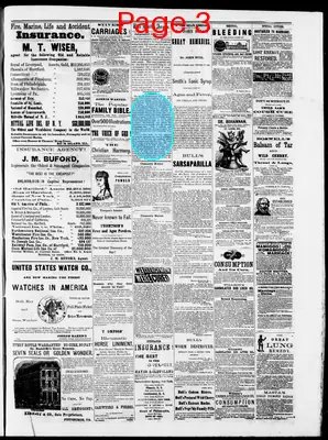 Page thumbnail for The Daily Argus