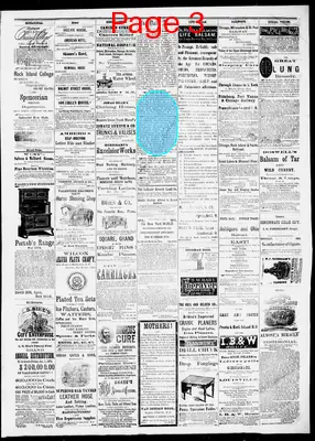 Page thumbnail for The Daily Argus