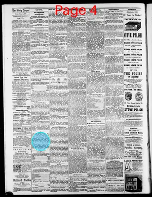 Page thumbnail for The Daily Argus