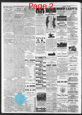 Page thumbnail for The Rock Island Argus