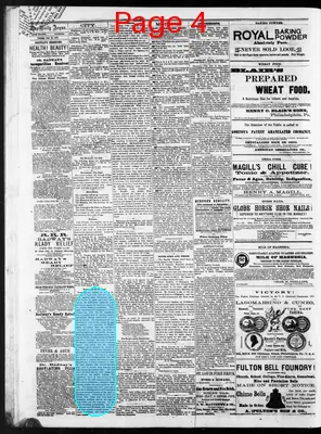 Page thumbnail for The Rock Island Argus