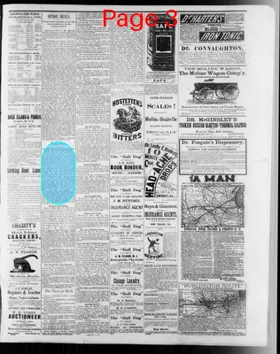 Page thumbnail for The Rock Island Argus