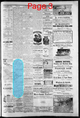 Page thumbnail for The Rock Island Argus