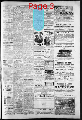 Page thumbnail for The Rock Island Argus