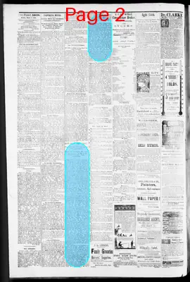 Page thumbnail for The Rock Island Argus