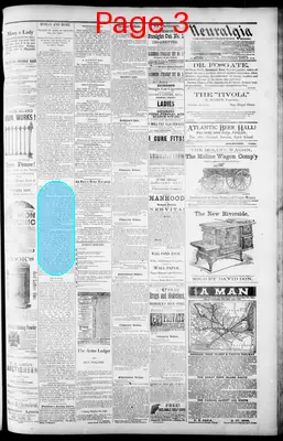 Page thumbnail for The Rock Island Argus