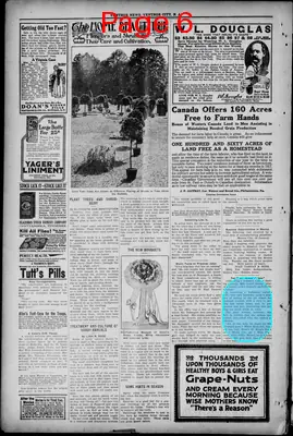 Page thumbnail for Ventnor News