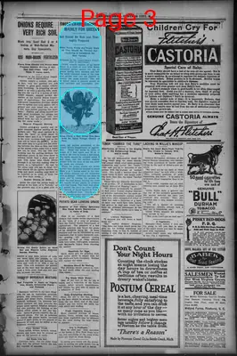 Page thumbnail for Ventnor News
