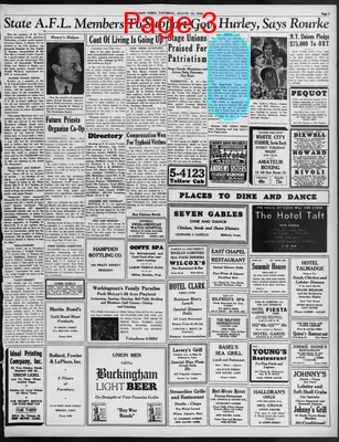 Page thumbnail for The Union Times
