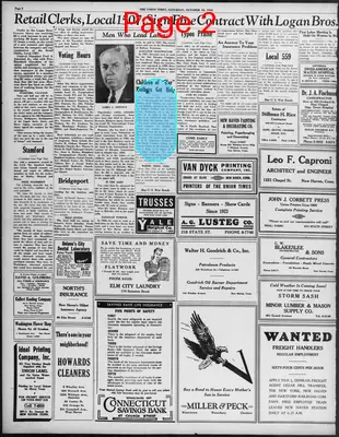 Page thumbnail for The Union Times